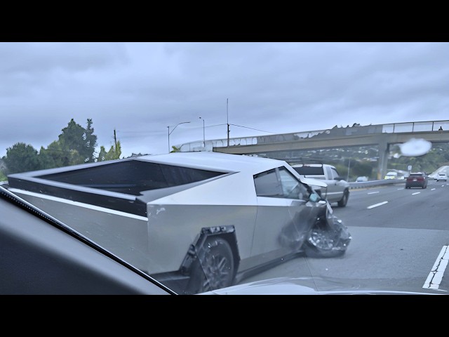 Idiots In Cars 313