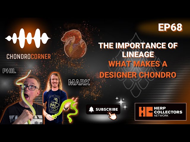 EP68 – La importancia del linaje: Qué define a una chondro de diseñador