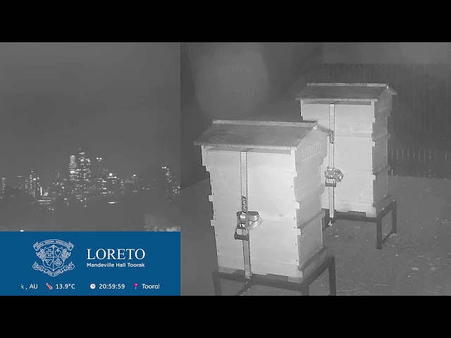 Loreto Mandeville Hall - Bee Stream