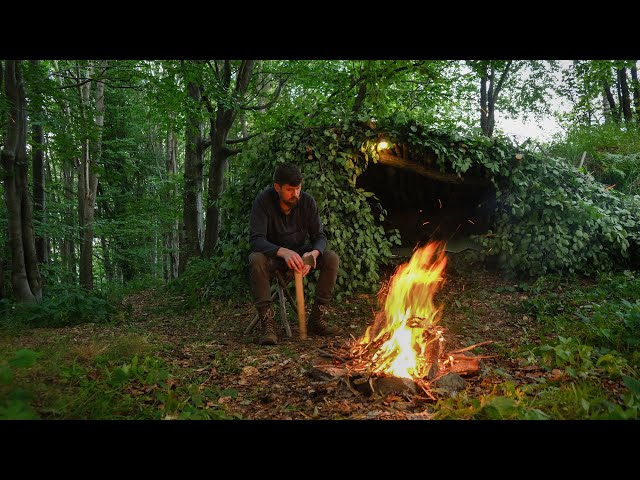 Making Primitive Shelter in Forest on top Mountain & Cook Food on Campfire | Solo Bushcraft