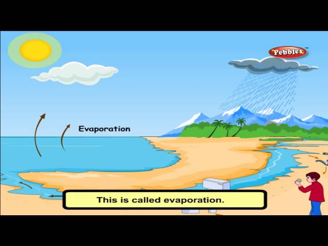 Cbse 4th CBSE SCIENCE | Air, Water & Weather |  NCERT | CBSE Syllabus | Animated Video