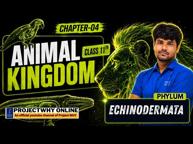 Phylum Echinodermata | Animal Kingdom Class 11 | NCERT Biology Ch 4