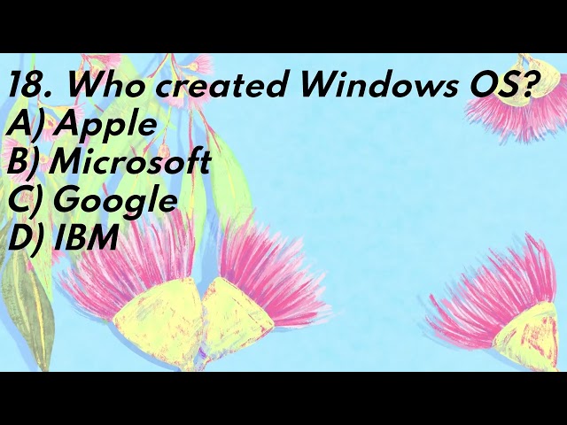Computer Knowledge