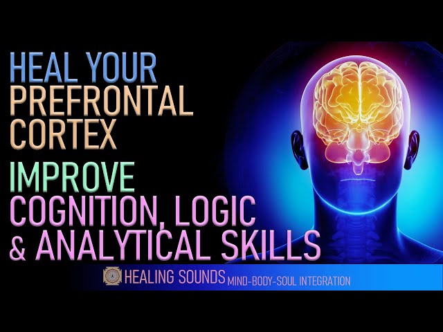 Heal Your Prefrontal Cortex | Improve Cognition Logic & Analytical Skills | Alpha Waves Music | 12Hz