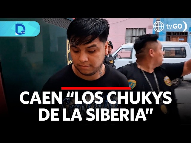 “Los Chukys de La Siberia” Taken Down | Domingo al Día | Peru
