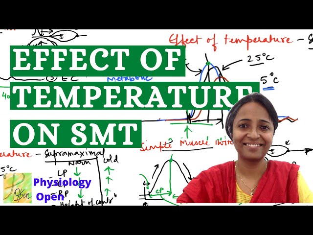 Effect of temperature on Simple muscle twitch | Amphibian nerve muscle graph| Practical physiology