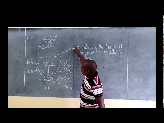 SCIENCE CLASS 6 .................LESSON 1