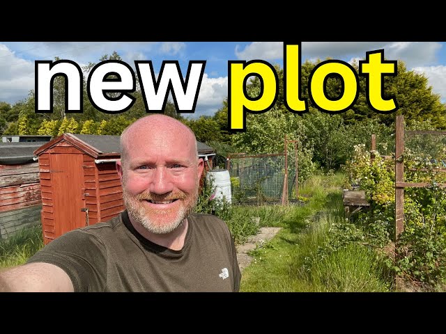 New Allotment Plot Tour | First Look & What Needs Doing! | The Journey Begins