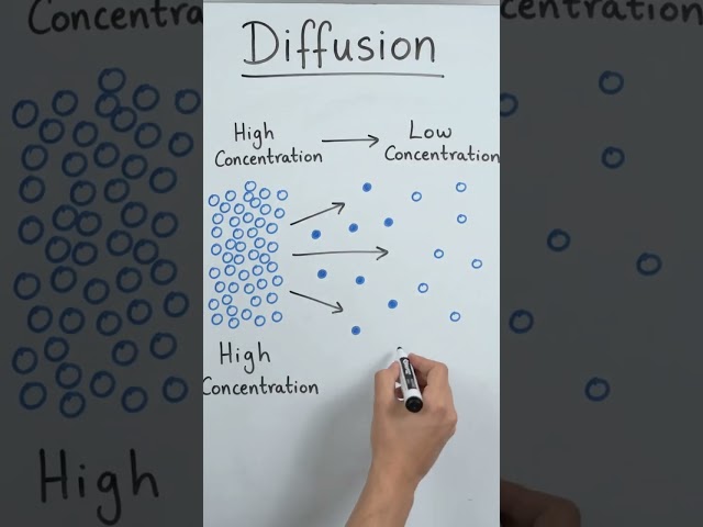 Diffusion | الانتشار البسيط