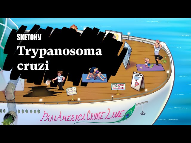 Trypanosoma cruzi (Part 1) | Sketchy Medical | USMLE Step 1