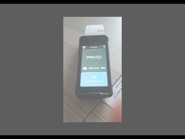 Pavo POS RAD Studio Delphi Demo
