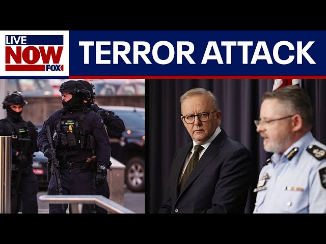 At least 11 killed in attack on Sydney Hanukkah event