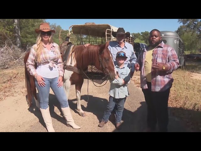 Country Crash Course: Saddle up your horses (Ep. 2)