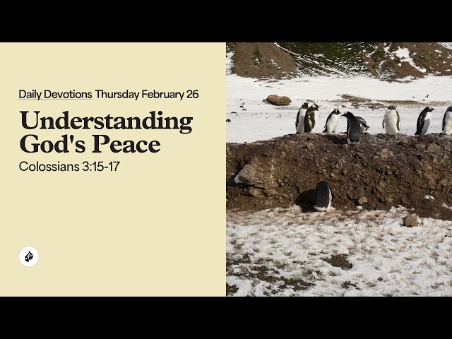 Understanding God’s Peace – Daily Devotional