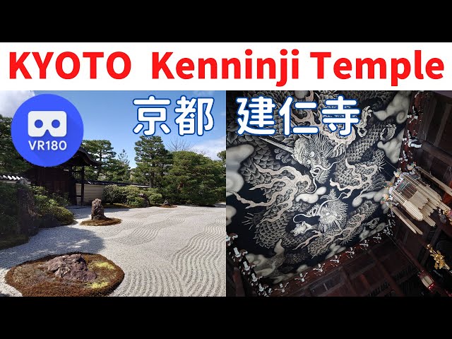 VR180  Virtual trip Japan KYOTO Kenninji Temple"garden & Ssangyong painting" 京都観光 建仁寺"日本庭園 双龍図"