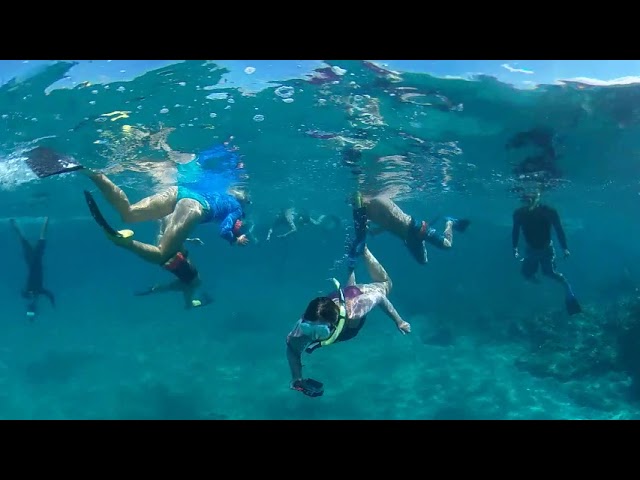 Turtle Town Maui