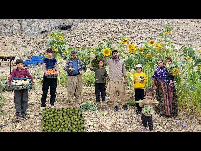 Real Nomadic Life in Iran | Harvesting Fresh Fruits & Vegetables in the Zagros Mountains