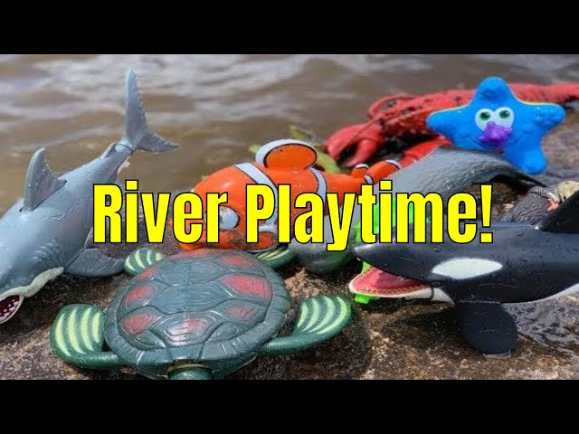 River Ocean Toys: Learn & Play!