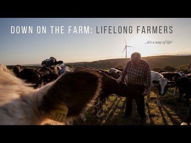 Down on the Farm - Lifelong Farmers
