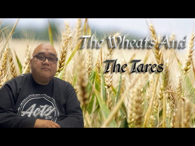 Parable of The Wheats and The Tares Explained