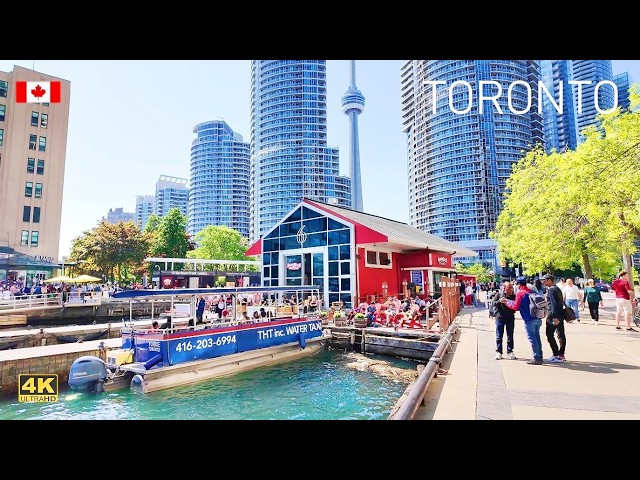 Beautiful Toronto Downtown Waterfront 2026 Walking Tour | 4K Canada Travel vlog