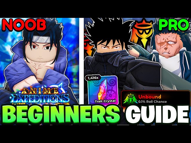 The *BEST* Beginners Guide to Anime Expeditions!