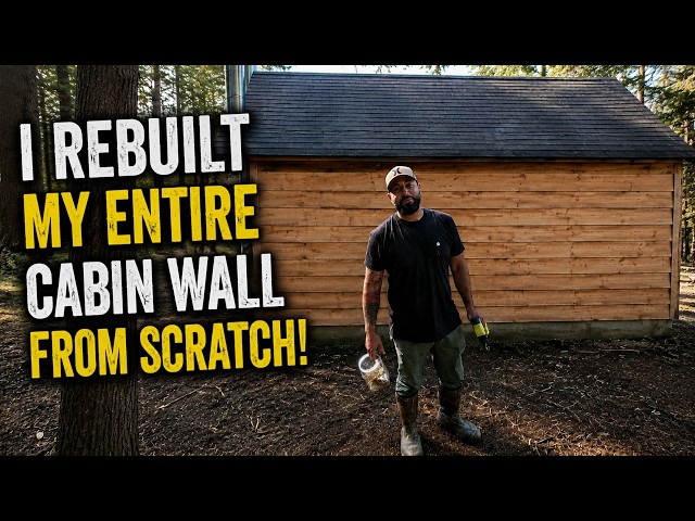 I REBUILT MY ENTIRE CABIN WALL FROM SCRATCH! MILLING MY OWN TREES