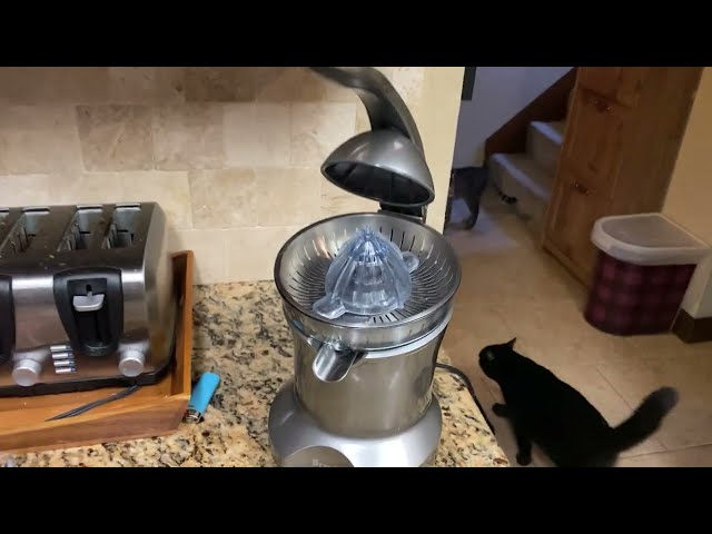 Breville Citrus Press Pro Electric Juicer || Rowdydawg's Honest Reviews