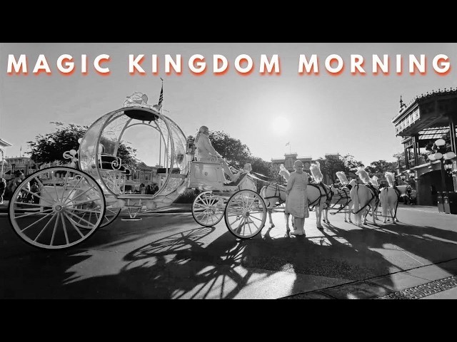 Magic Kingdom Morning Reset | Mickey, Goofy & Dapper Dans | Day 313
