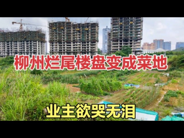 实拍广西柳州某个烂尾楼盘，工地居然变成了菜地，业主们欲哭无泪