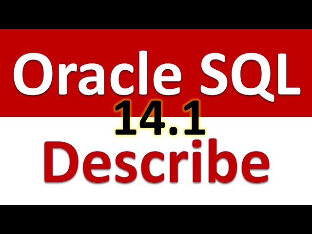 Oracle SQL Developer Tutorial For Beginners  14.1 - Describe