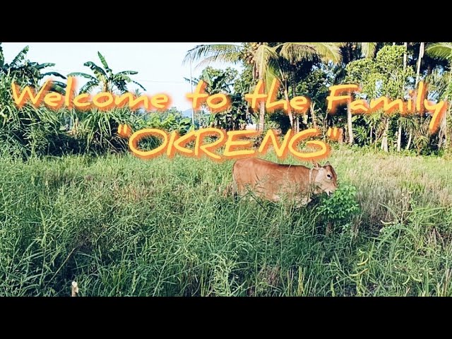 COUNTRYSIDE //Your new home "OKRENG" //MAESTRAmo