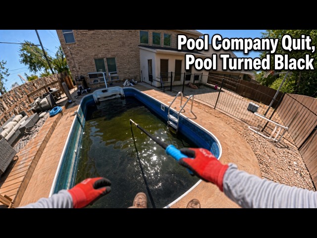 Pool Company Stopped Showing Up.... Pool Turned Black!
