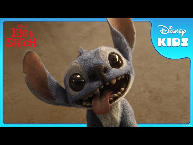 Stitch & Lilo are Best Friends 💙🌠 | Lilo & Stitch | ‪@disneykids