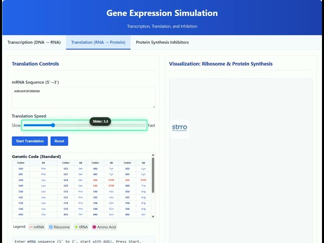 Learn Gene Expression & Protein Synthesis Simulation | Pharmacy Tutorial | Medical Education