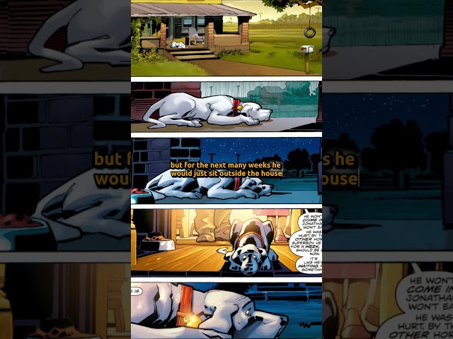 Krypto The Superdog's Tragedy