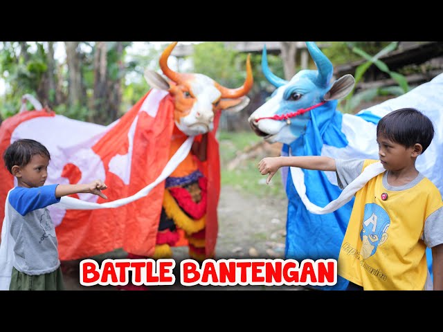 WIDIIH✅‼️ B0C1L ADU BANTENGAN SAPI MBEROT VS BARONGAN JAHAT KIRA2 SIAPA PEMENANGNYA