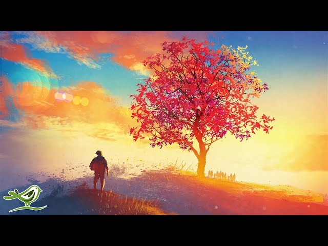 Peder B. Helland - Bright Future