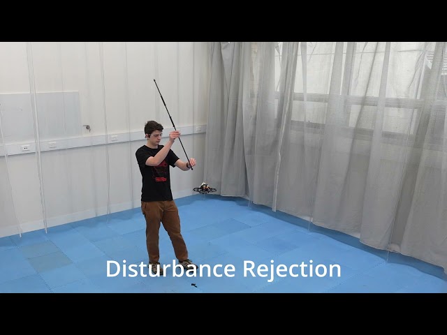 Flying Inverted Pendulum Demonstration