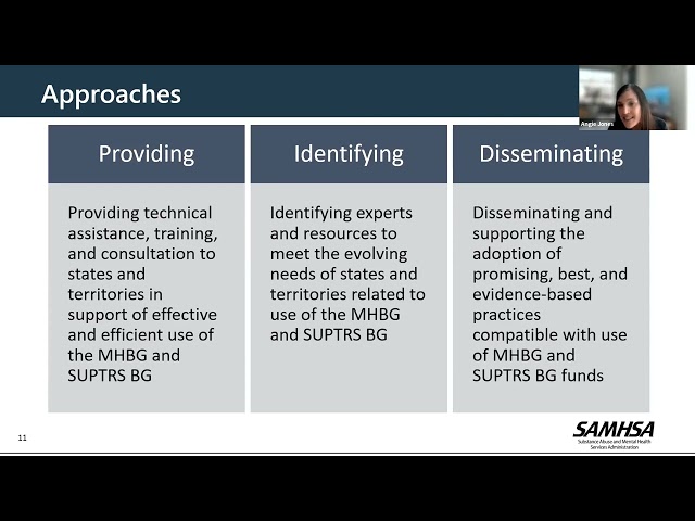 CSAT Introduction to State Program Improvement Technical Assistance