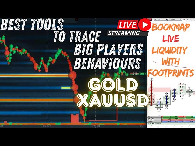 Bookmap Live Gold | XAUUSD GC Futures | Live Liquidity & Footprints