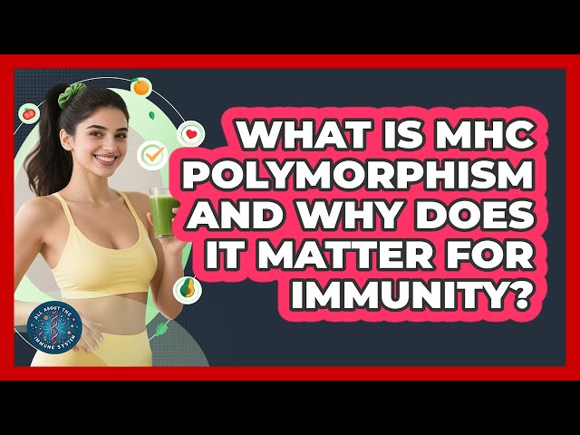 What Is MHC Polymorphism And Why Does It Matter For Immunity? - All About the Immune System