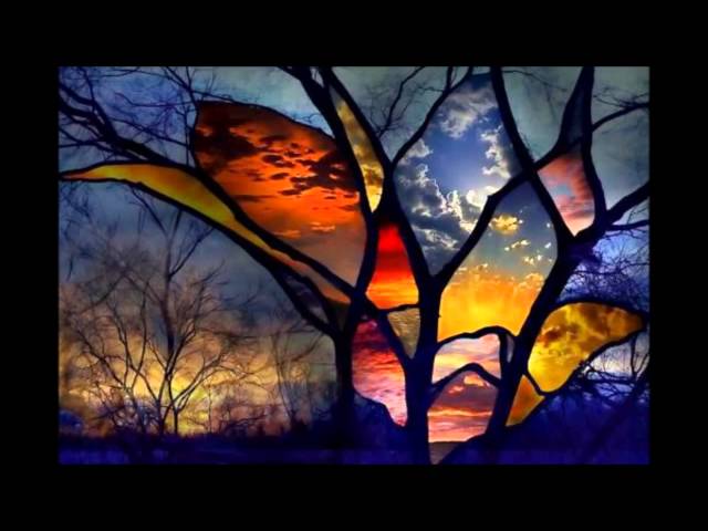 Enzo Gragnaniello - Alberi