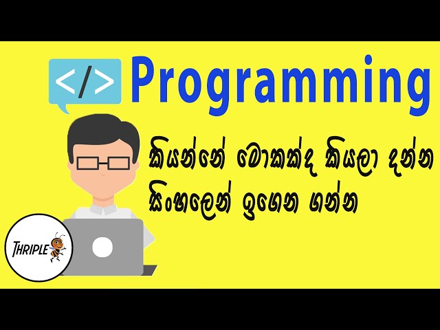 What is Programming Beginner Introduction - Sinhala
