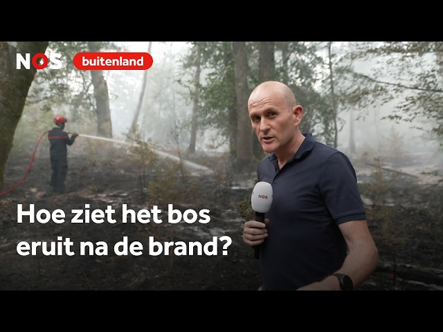 Following the Firefighters After the Devastating Fontainebleau Fire
