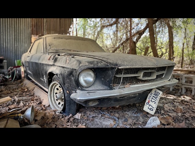 Oddly Satisfying 1967 Ford Mustang Rescue & Repair | RESTORED