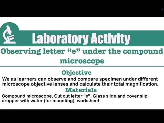 Basic Microscopy _Observing letter "e" under the compound microscope