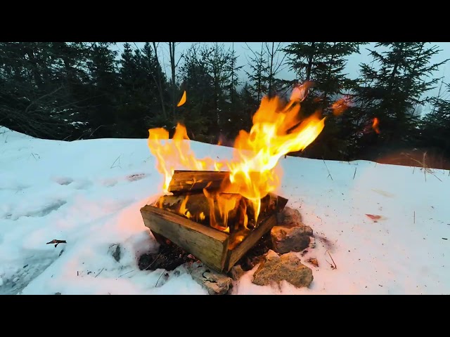Winter Campfire Sounds ❄️🔥 Cozy Fire Noise for Sleep, Study & Meditation 