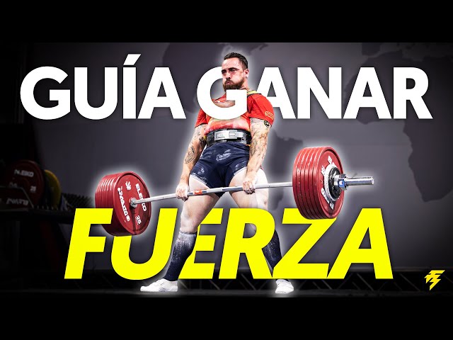 HOW TO PROGRAM FOR STRENGTH GAINS (Powerlifting)
