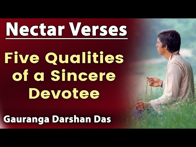 Did You Know 5 Qualities of a Sincere Devotee | Nectar Verses SB 3.29.18 | Gauranga Darshan Das